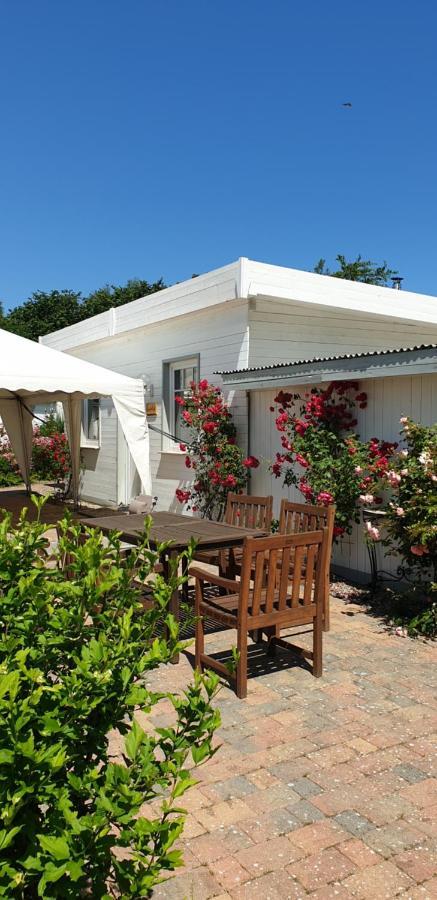 Ferienbungalow Haus Am Teich Болтенхаген Екстериор снимка